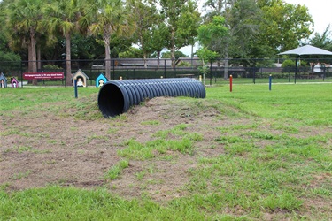 Achieva Paw Park