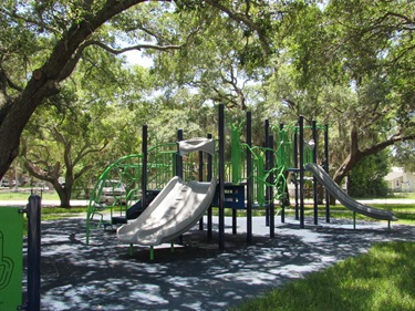 Elizabeth Skinner Jackson Park Playground