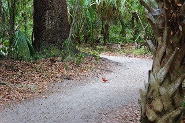 Hammock Park