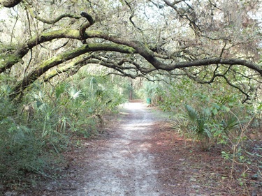 Hammock Park