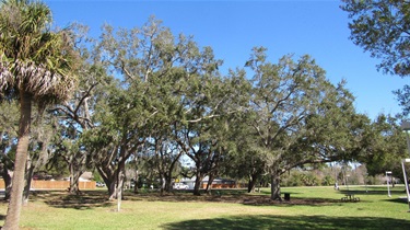 Highlander Park