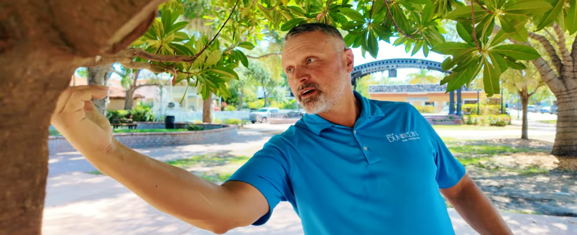 City-Arborist.png
