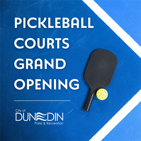 Pickleball Courts - 900x900.png