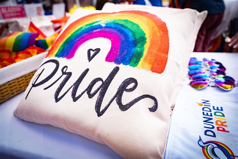 Pillow with rainbow and the word pride