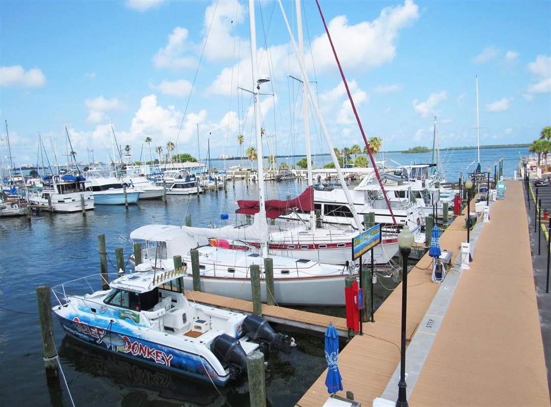 Marina - City of Dunedin, FL