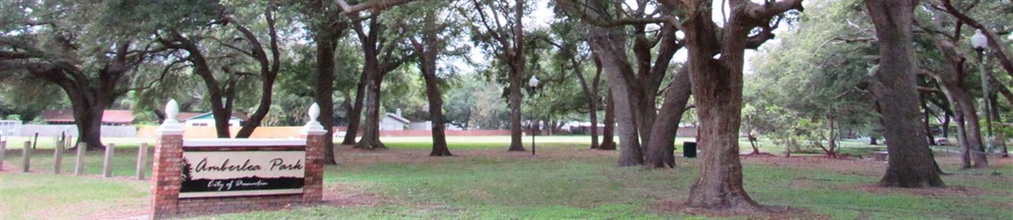 web banner_park amberlea.jpg