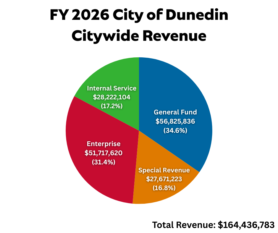 Citywide Revenue Pie Chart.png