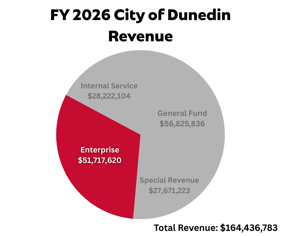 Enterprise Revenue.png