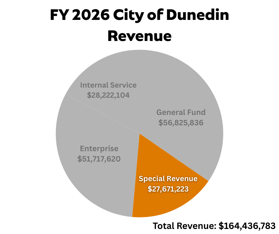 Special Revenue.png