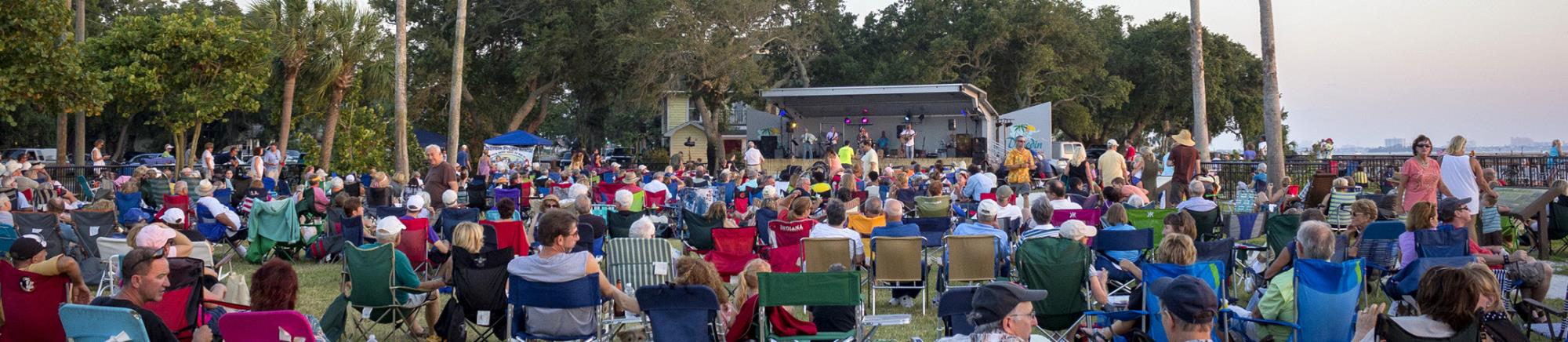 Crowd at an outdoor concert